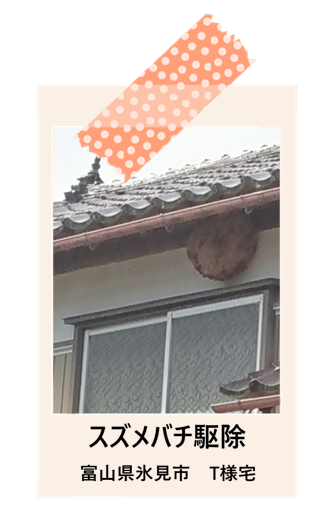 富山県氷見市　スズメバチ駆除