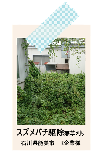 石川県能美市　蜂の巣駆除＆草刈り