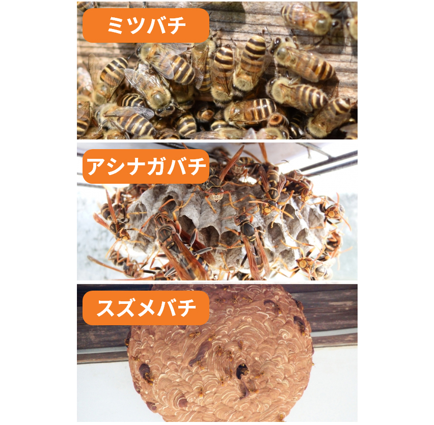 wimages20190811124159